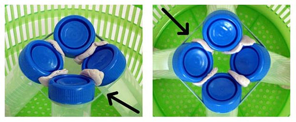 Tubes held in place.